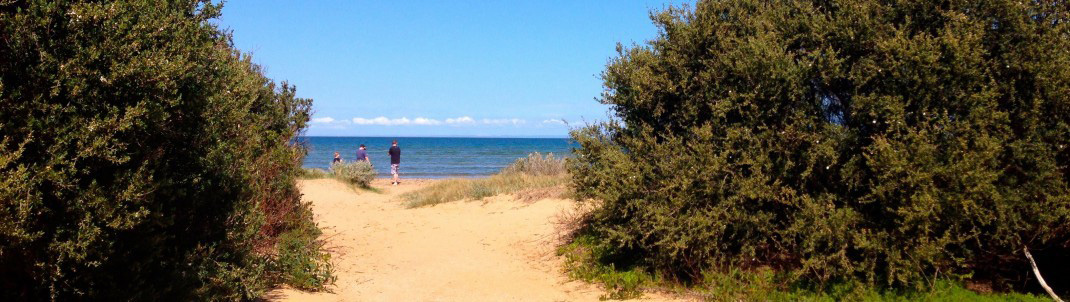 Walking through the sand dunes to the shoreline Sand-dunes